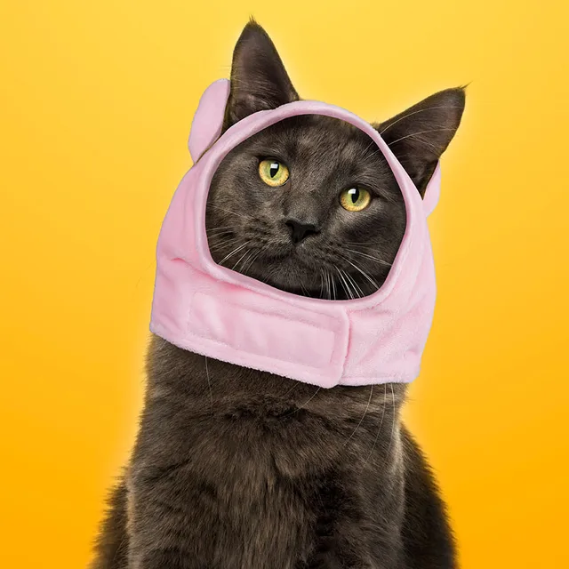 Gorro para Mascota de Cerdo Pequeño