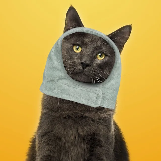 Gorro para Mascota de Dinosaurio Grande