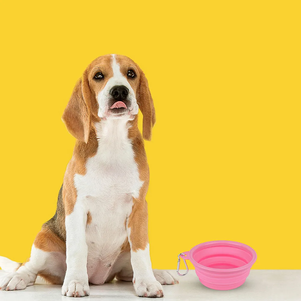 Tazon Plegable Portatil de Mascota Pet Series Mediano Rosa