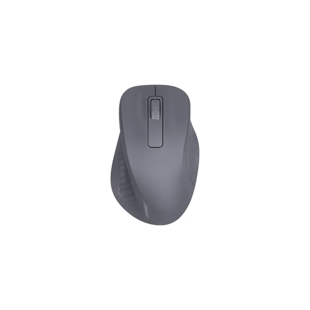 Mouse Inalambrico Ergonomico Serie Miniso Negro